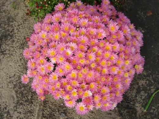 880754 (a): :2700x2025